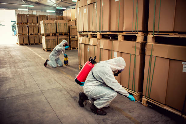 Best Ant Control Services  in Hillsborough, NC