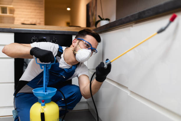 Best Residential Pest Control  in Hillsborough, NC