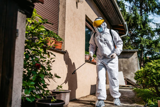 Flea Control Services in Hillsborough, NC