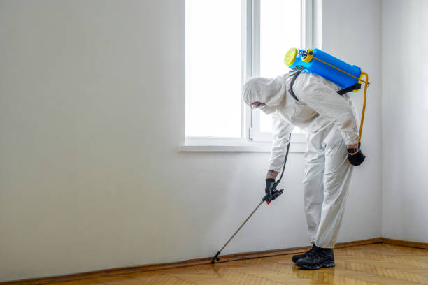 Best Mosquito Control Services  in Hillsborough, NC