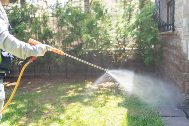 Best Wasp Removal Services  in Hillsborough, NC