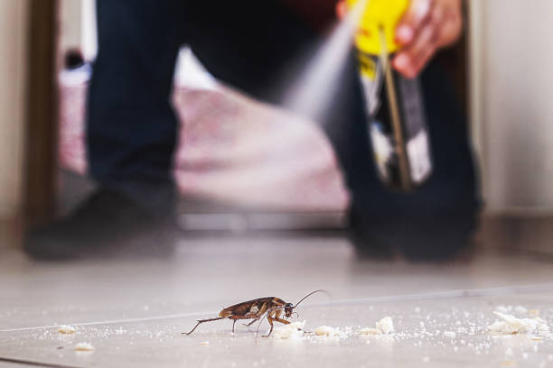 Best Pest Inspection Near Me  in Hillsborough, NC