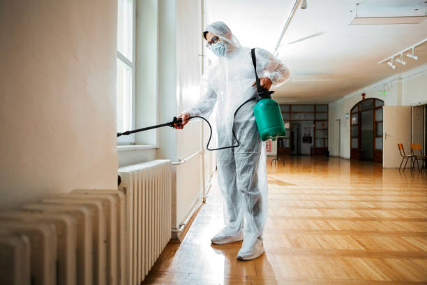 Best Local Pest Control Services  in Hillsborough, NC