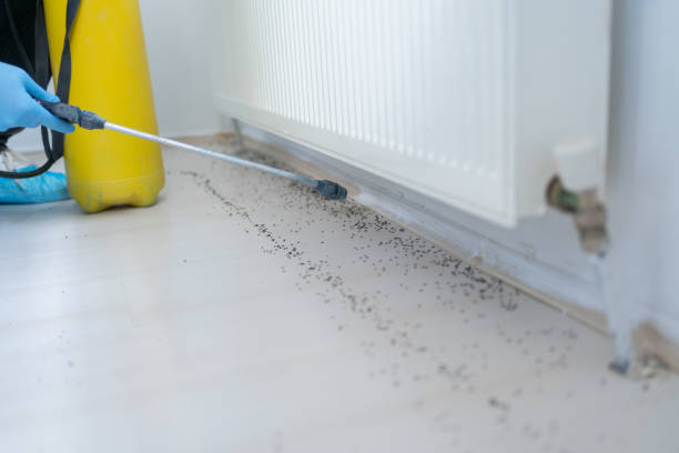 Best Commercial Pest Control Services  in Hillsborough, NC