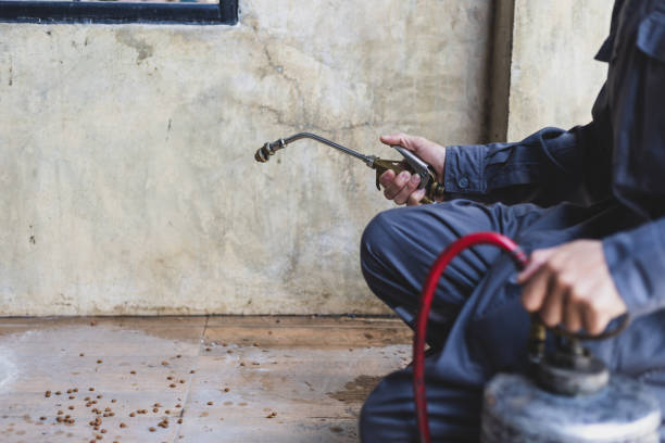 Best Wasp Removal Services  in Hillsborough, NC
